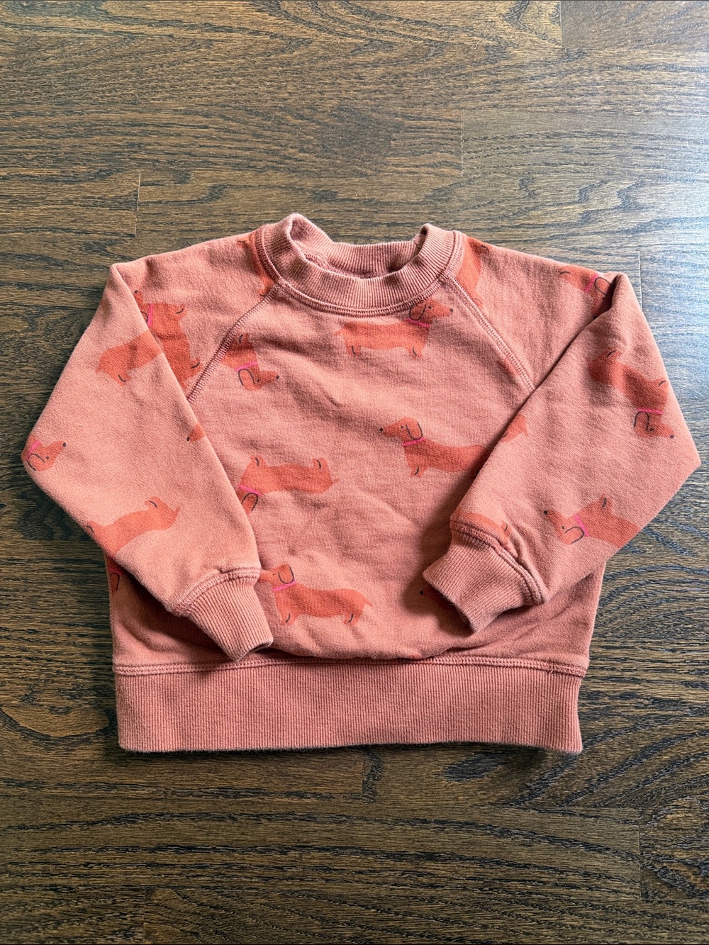 Hanna Andersson Terracotta Dachshund Print Sweatshirt